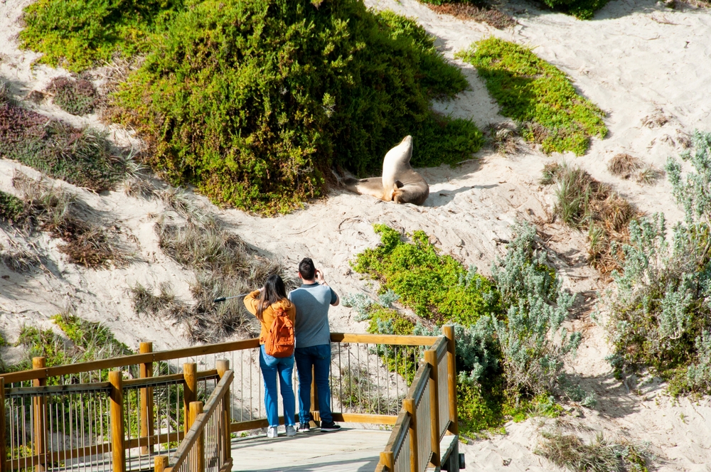 Students on the boardwalk for a Seal Bay, Kangaroo Island school excursion