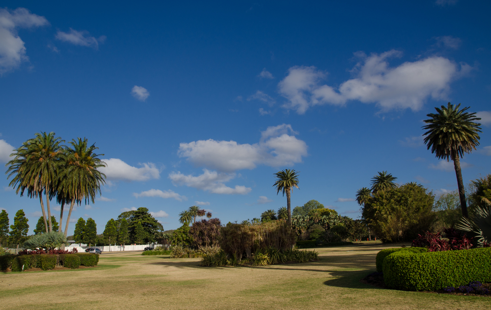 green grass, trees and blue skies at centennial parklands 