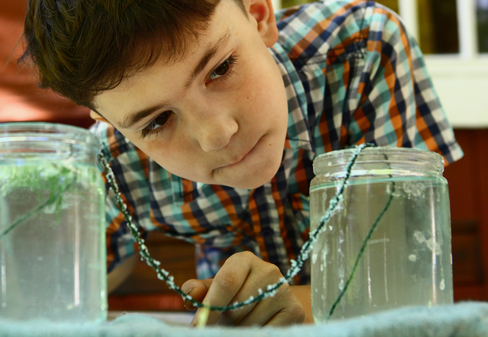 kid looking at crystal experiment 